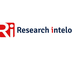 AI in Knowledge Base Market Size, Share, and Future Opportunities Explained