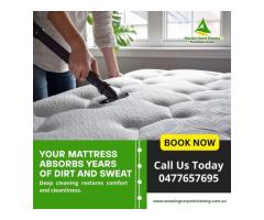 Carpet Cleaning Experts in North Brisbane Best Carpet Cleaning Services in North Brisbane