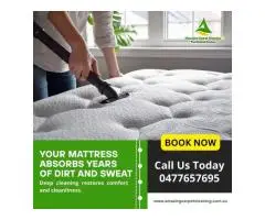 Carpet Cleaning Experts in North Brisbane Best Carpet Cleaning Services in North Brisbane