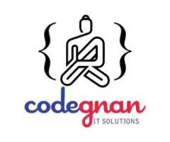Codegnan Vishakapatnam - Python, Java, Full Stack Training Institute - 2