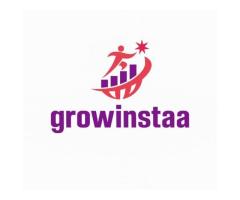 Growinstaa - Instagram Follower Company in Jaipur