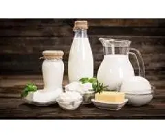 Buy Fresh Gir Cow Milk Natural A2 Milk for Better Digestion &amp Health