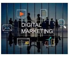 Digital Marketing Consultant in Chennai