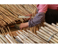 Fiberglass Plant Stakes Wholesale - Vantidebamboo - 3