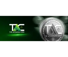 The Atomium Coin Scalable Solution for Digital Assets - 4