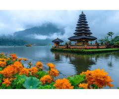 Bali Escape from Kolkata Book Stress-Free Today - 2