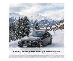 BASEL AIRPORT TO MESSE BASEL THE ART FAIR TRANSFER SERVICE - 5