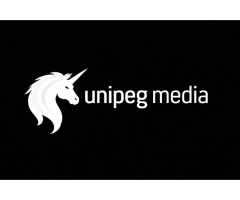 Digital Marketing Agency in Gurugram SEO & Social Media Experts Unipeg Media - 2