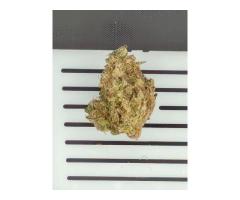 Buy Cannabis in Bemidji Premium Products at Great Prices