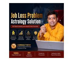 Book Trusted Online Puja For Job Protection