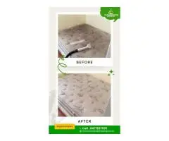 Affordable Carpet Cleaning Experts in North Brisbane Quality Deep Cleaning Services
