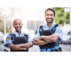 Professional Security Services by Custodian