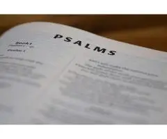 Find Strength and Peace Through PSALM 23 BIBLE INSIGHTS FOUNDATION