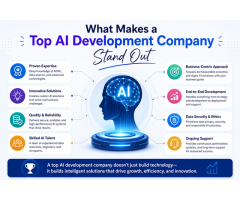 What Makes a Top AI Development Company Stand Out