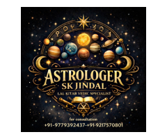 Best Astrologer Reader in Delhi