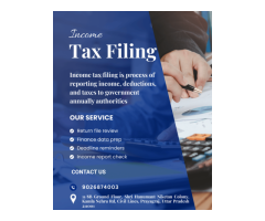 Hassle-Free Income Tax Filing Services in Prayagraj