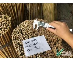 Bamboo Canes Bulk Bundle - Vantidebamboo