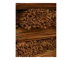 Bamboo Canes Bulk Bundle - Vantidebamboo - 3
