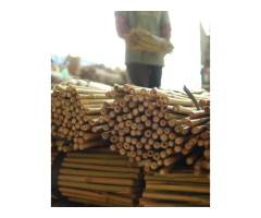 Bamboo Canes Bulk Bundle - Vantidebamboo - 5