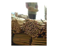 Bamboo Canes Bulk Bundle - Vantidebamboo - 5