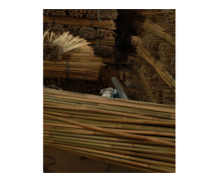 Bamboo Canes Bulk Bundle - Vantidebamboo - 7