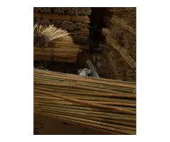 Bamboo Canes Bulk Bundle - Vantidebamboo - 7