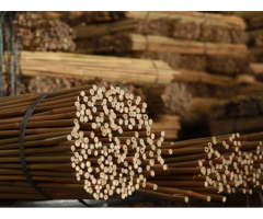 Bamboo Canes Bulk Bundle - Vantidebamboo - 8