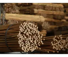 Bamboo Canes Bulk Bundle - Vantidebamboo - 8