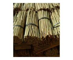 Bamboo Canes Bulk Bundle - Vantidebamboo - 9