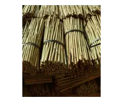 Bamboo Canes Bulk Bundle - Vantidebamboo - 9