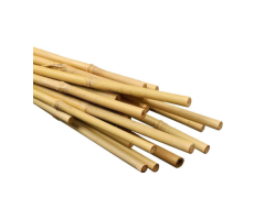 Bamboo Canes Bulk Bundle - Vantidebamboo - 10
