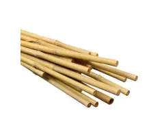 Bamboo Canes Bulk Bundle - Vantidebamboo - 10