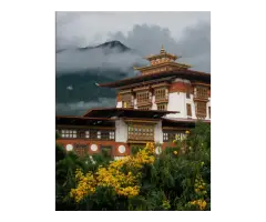 All-Inclusive Bhutan Package Tour from Delhi with SDF Charges NatureWings Holidays - 3