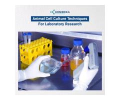 Animal Cell Culture Techniques for Laboratory Research