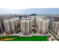 Palm Olympia Noida: A Luxurious Haven in the Heart of the City