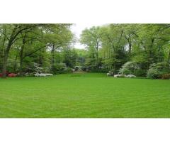 Premium Lawn Solutions for Beautiful Green Outdoor Spaces