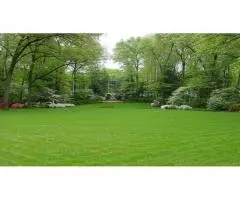 Premium Lawn Solutions for Beautiful Green Outdoor Spaces