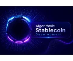 Could Algorithmic Stablecoins Redefine Payments