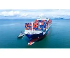Sea Freight Services Dubai Figure Shipping