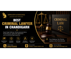 Trusted Legal Support by Best Criminal Lawyer in Chandigarh