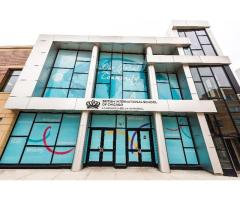 Window Graphics Columbus Transforming Glass into Powerful Branding Space