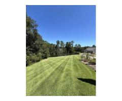 Complete Outdoor Solutions From Lawn Care to Excavation in Aiken & North Augusta, SC - 4