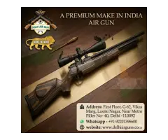Best 5 Make in India Gun Models Delhi Air Gun
