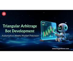 Why Do Businesses Prefer Triangular Arbitrage Bot Development