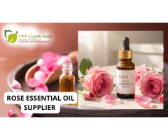Rose Essential Oil Aromatherapy for Daily Wellness