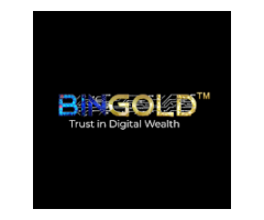 BINGOLD The Future of Gold-Backed Token Is Here