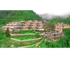 200-Hour Yoga Teacher Training in Rishikesh, India RYT 200