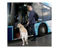 Reliable Travel and Transport Near Me in Brisbane