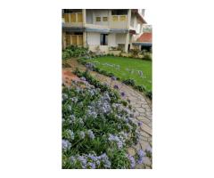 Forest Resort Mukteshwar