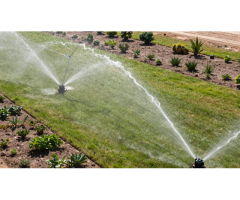 Reduce Water Waste with Professional Irrigation Guidance - 3